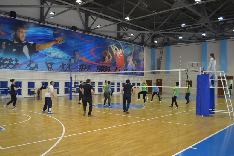 voleybol